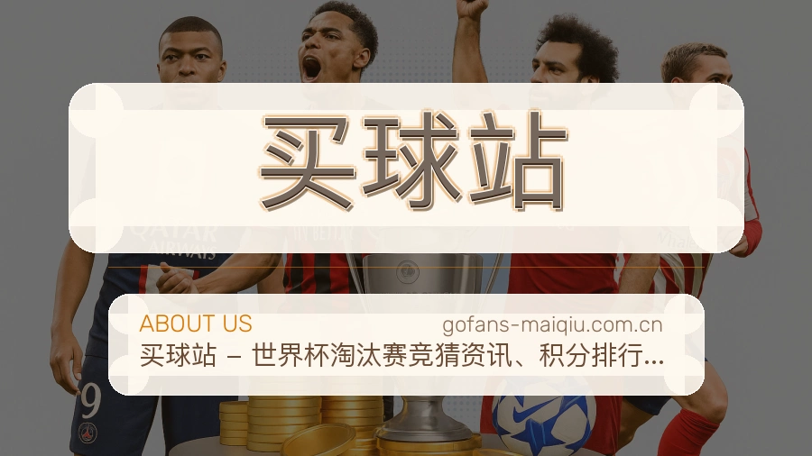 买球站关于我们